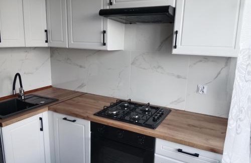 Bielawa Apartment | Duży apartament z widokiem na góry - 3 pokoje