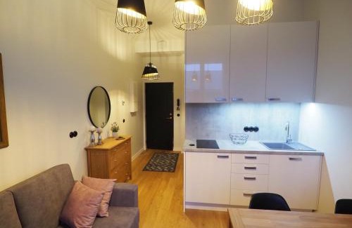 Old Town Apartment | DuoLoft studio apartment Lovisa Casa with gym and terrace