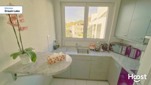 District 8 Apartment | Duplex Dream Lake View Gold Coast Zollikon