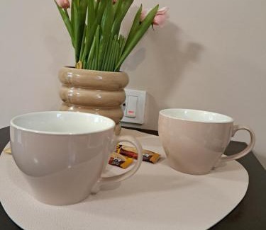 Nova Pazova Other | Dvoriste Danguba