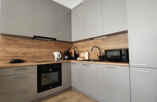 Kielce Apartment | Dwa Jelonki, ul Ściegiennego, centrum, garaż, ogródek