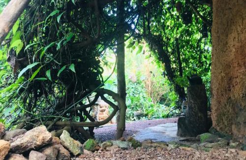 Dodangoda Villa | Earth House Sri Lanka