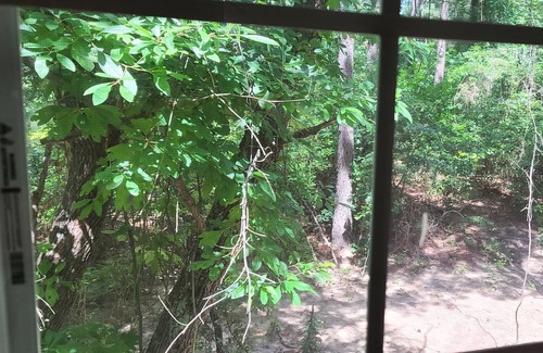 Mineola Cabin | East Texas Piney Woods - Rustic Western Church Cabin - Weddings & other Venues