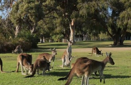 Creswick Resort | Eastern Hill Creswick