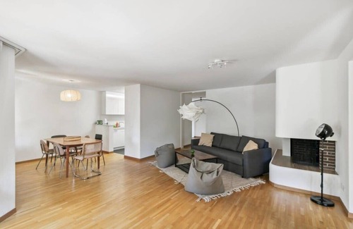 District 8 Apartment | Easy-going central Apartment in Zurich