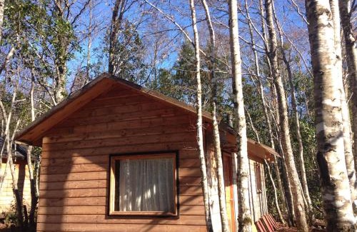 Pucon House | Eco-Cabañas Quetroleufu