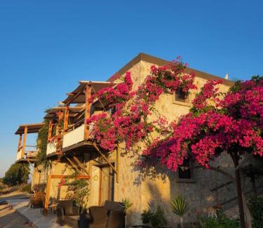 Turgutreis House | Eco Farm Boutique Hotel
