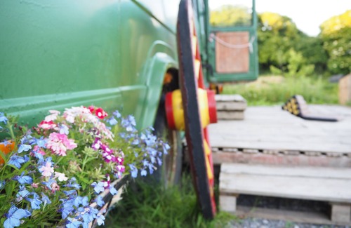 Whitegate House | Eco Glamping immersed in nature, ideal for family holidays and romantic getaways