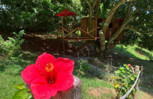 San Sebastian de Mariquita Other | Eco-Glamping Shalom