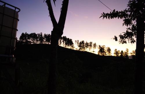 Quesada Cabin | Eco Granja Don Lolo