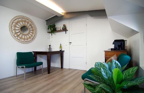 Spaarndammer en Zeeheldenbuurt House | Eco HouseBoat
