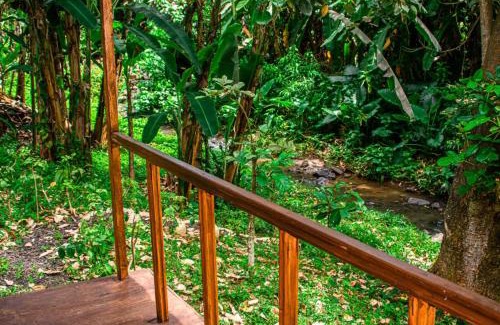 Monte Cafe Cabin | ECO-POR