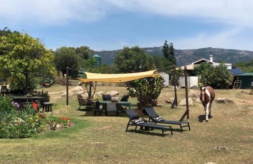 Tarifa Other | Eco Spirit