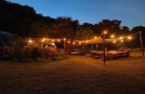 Tarifa Other | Eco Spirit