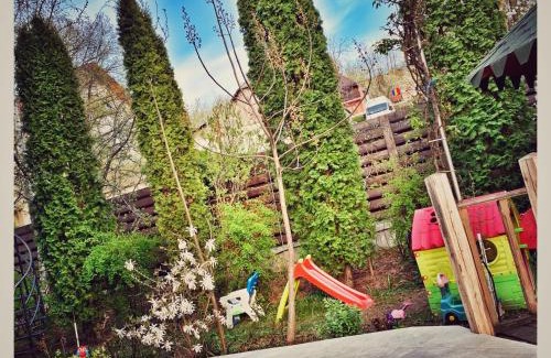Suceava Apartment | Eco Travel