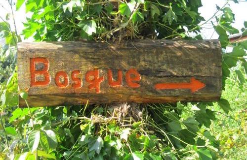 Valdivia House | ECOHOSTAL HUELLAS DEL BOSQUE