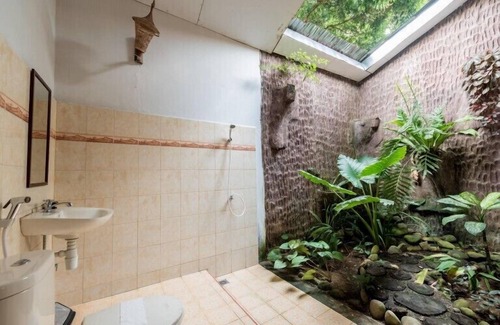 Bukit Lawang Hotel | Ecolodge Bukit Lawang