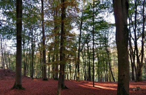 Sohier House | Ecologically renovated former farmhouse