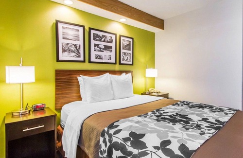 Amarillo Hotel | Econo Lodge Amarillo East