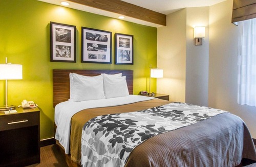 Amarillo Hotel | Econo Lodge Amarillo East