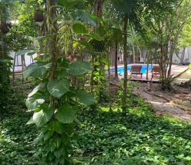 Chemuyil Hotel | Ecovergel Hotel Riviera Maya