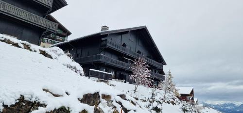Champoussin Apartment | Edelweiss 6