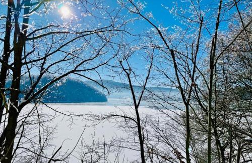 Nieder-Werbe Villa | Edersee-Chalet