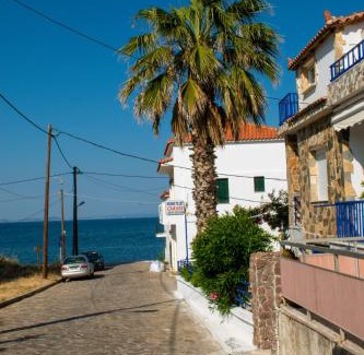 Lesvos Apartment | Efterpi Aggeli