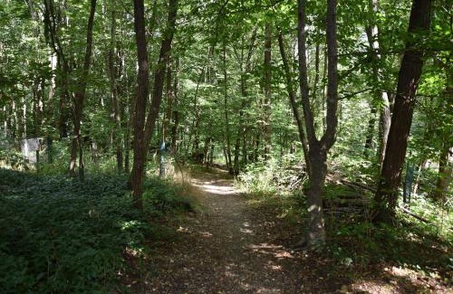 Mariatrost Apartment | Ein Traum im Leechwald nähe LKH