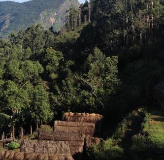 Periyur Other | EKa Forest