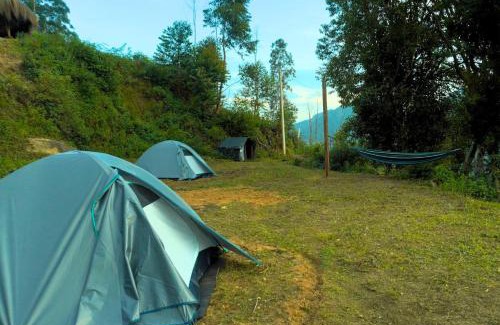 Periyur Other | EKa Forest