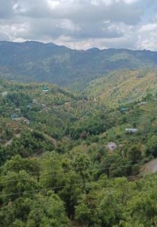 Kasiyalekh House | Ekant homestay mukteshwar road Chakhuta near kasiyalekh market
