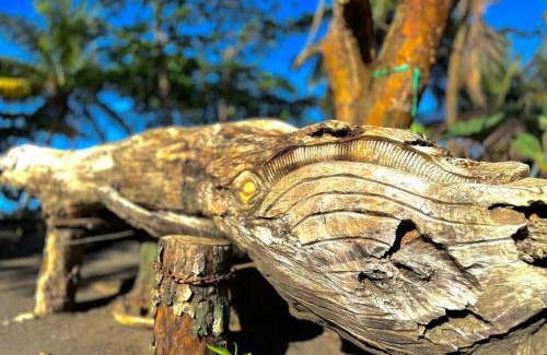 Tortuguero Hotel | El Deseo Serendipity Tortuguero