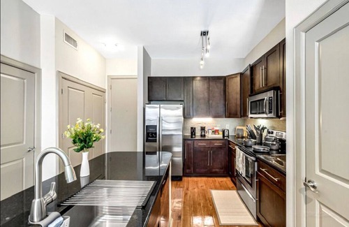 Astrodome Apartment | Elegant 1BR| Ideal for Long Term Stay