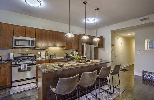 Kenwood Apartment | Elegant Escape 4BR/3BA near UChicago & Obama Home