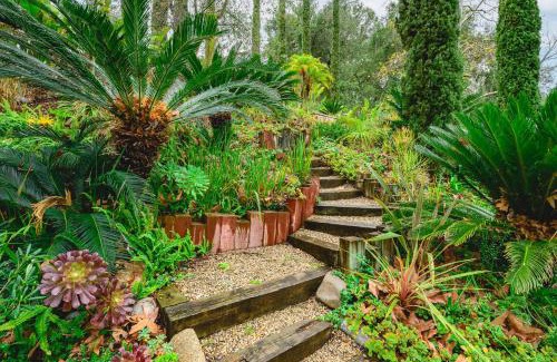 Rancho Santa Margarita House | Elegant Villa Retreat Pool Garden Alfresco Lounge