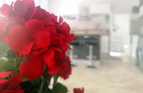 George Apartment | Elisha Studio
