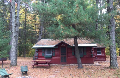 Grawn Cabin | Ellis Lake Resort - Birch Log Cabin-Interlochen/Traverse City