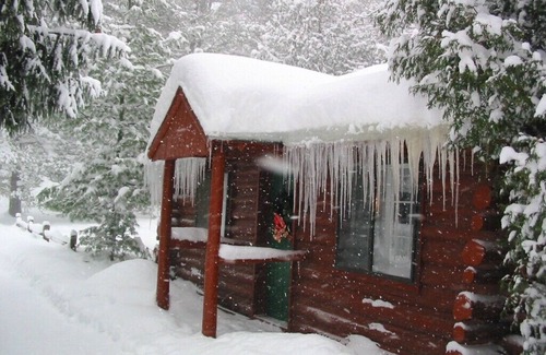 Grawn Cabin | Ellis Lake Resort - Spruce Log Cabin-Interlochen/Traverse City