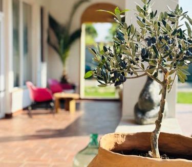 Alba Iulia Bed & Breakfast | Elma Guesthouse