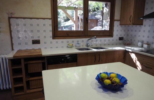 Castellar del Riu Ski Chalet | Els Noguers Turisme