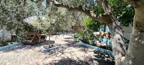 Berat Bed & Breakfast | Elvish Garden Boutique B&B