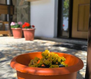 Berat Bed & Breakfast | Elvish Garden Boutique B&B