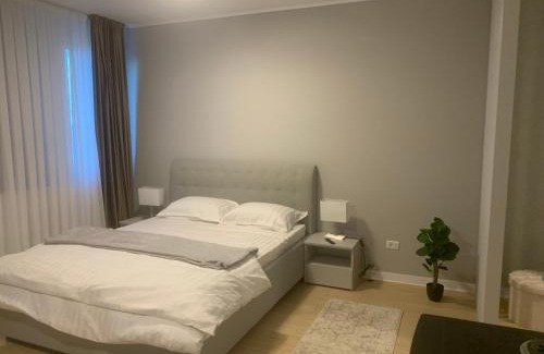 Tirgu Jiu Apartment | EM05- Studio Premium