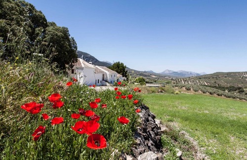 Villanueva del Trabuco Cottage | Encanto Rústico Entre Olivos y con Vistas a Las Montañas en el Sur de Andalucía