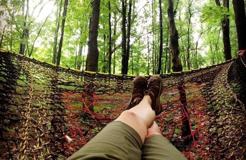 Stonewall House | Enchanting Tree House with a Slide on 200 Acres for a Family Adventure in Germantown, Kentucky