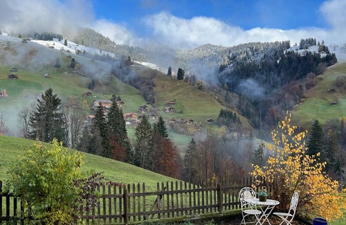 Ruedisbach Ski Chalet | Engel Ingold Lodge-Romantic place in the middle of the Swiss Alps-Hotel Services