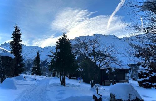 Engelberg Ski Chalet | Engelberg, Renovated Chalet in Wonderful Location