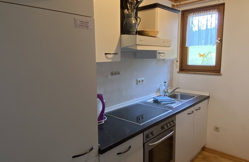 Schollach Apartment | Enjoy a relaxing holiday in the Bärenhof's old bakery