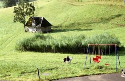 Schollach Apartment | Enjoy a relaxing holiday in the Bärenhof's old bakery